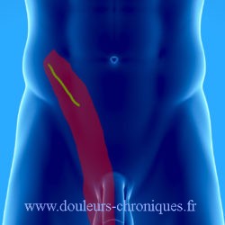 Cirugía abdominal abierta (Estómago, intestino delgado, colon, vesícula biliar, páncreas, hígado, bazo, etc.)