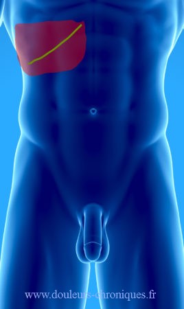 Cirugía abdominal abierta (Estómago, intestino delgado, colon, vesícula biliar, páncreas, hígado, bazo, etc.)